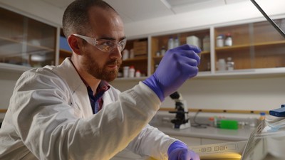 Image shows USU graduate researcher Bailey McFarland inspecting a specimen slide